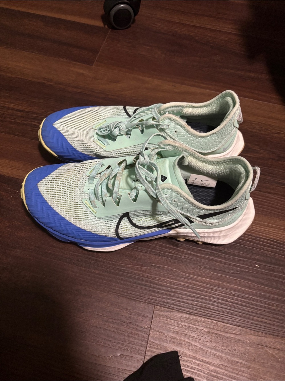 Nike Women's Terra Kiger 8 Mint Green and Blue Trainer Sneakers